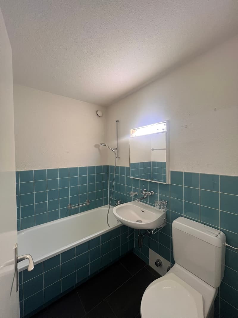 Cozy 1.5-room apartment with balcony in Affoltern am Albis (7)