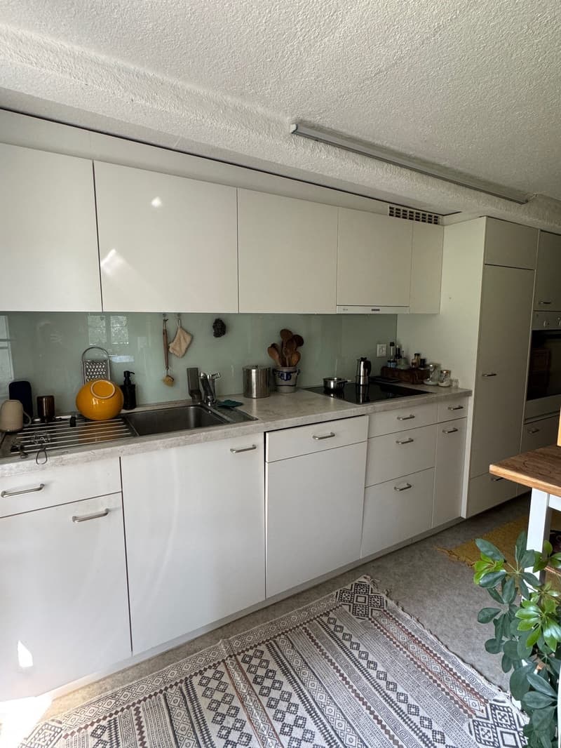 Ruhige 4-Zimmerwohnung sucht Nachmieter (4)
