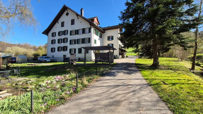 Appartamento tranquillo di 4 locali con giardino cerca subaffittuario temporaneo a causa di ristrutturazione totale (1)