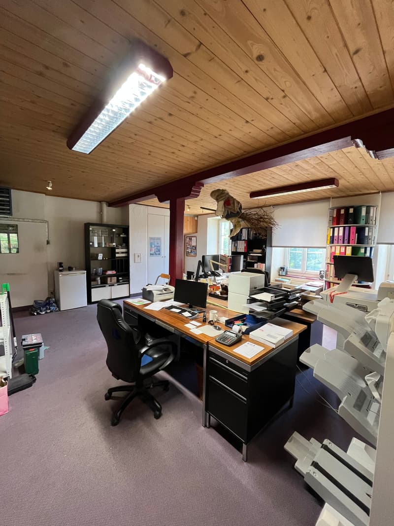 Historische Fabrikfläche mit Charakter – 250 m² Gewerberaum in Aeugstertal (7)