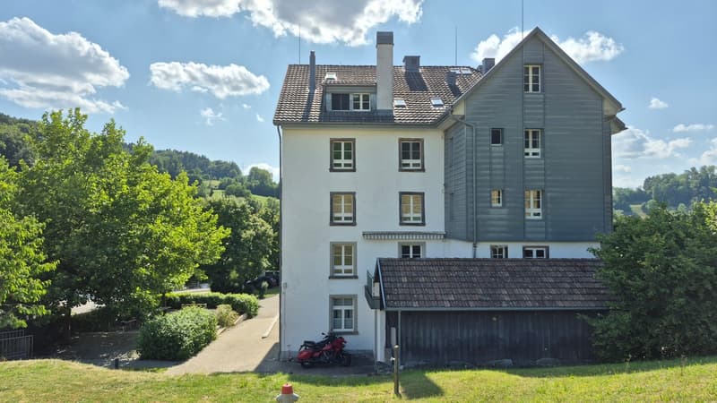 Historische Fabrikfläche mit Charakter – 250 m² Gewerberaum in Aeugstertal (3)