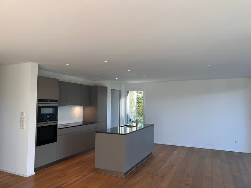 Moderne 2.5-Zimmer-Gartenwohnung mit grosszügigem Sitzplatz in Zwillikon (1)