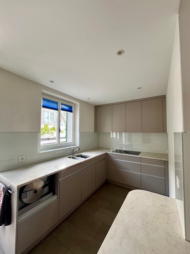 8.5-Zimmer-Maisonettewohnung mit Altbaucharme, grosser Terrasse und Garten in Hausen am Albis (3)