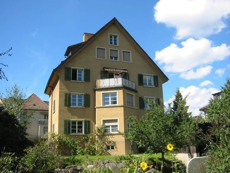 Charmante 3.5-Zimmer-Maisonette-Wohnung im Altbau in Affoltern am Albis (1)