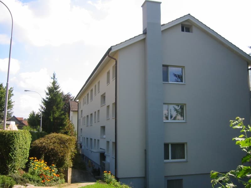 Helle 3-Zimmer-Wohnung im Erdgeschoss in Affoltern am Albis (7)