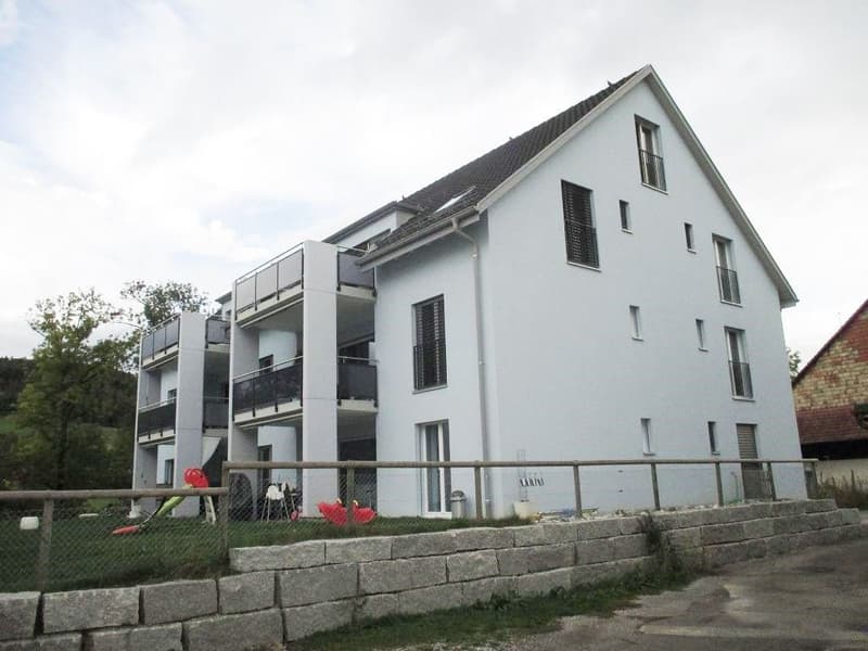 Tolle 1.5-Zimmer-Maisonettewohnung im idyllischen Neftenbach (1)