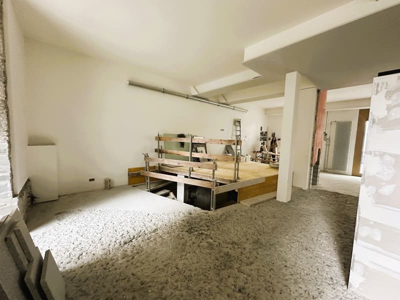 Unico. Creativo. Visionario. Il tuo loft nel cuore di Zurigo (2)