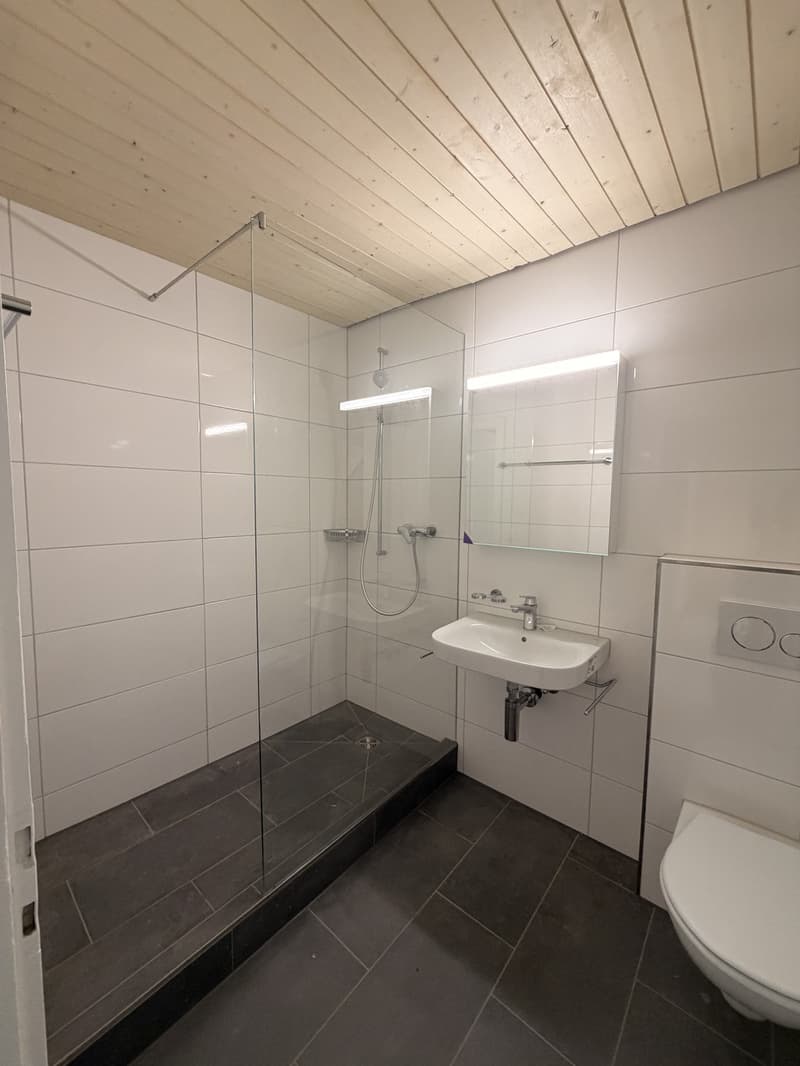 Stilvolle 3.5-Zimmer-Wohnung mit moderner Ausstattung und warmem Wohnambiente (11)