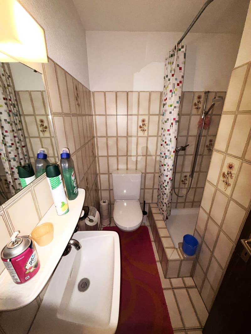 Charmant appartement 4.5 pièces au centre de Volketswil (9)