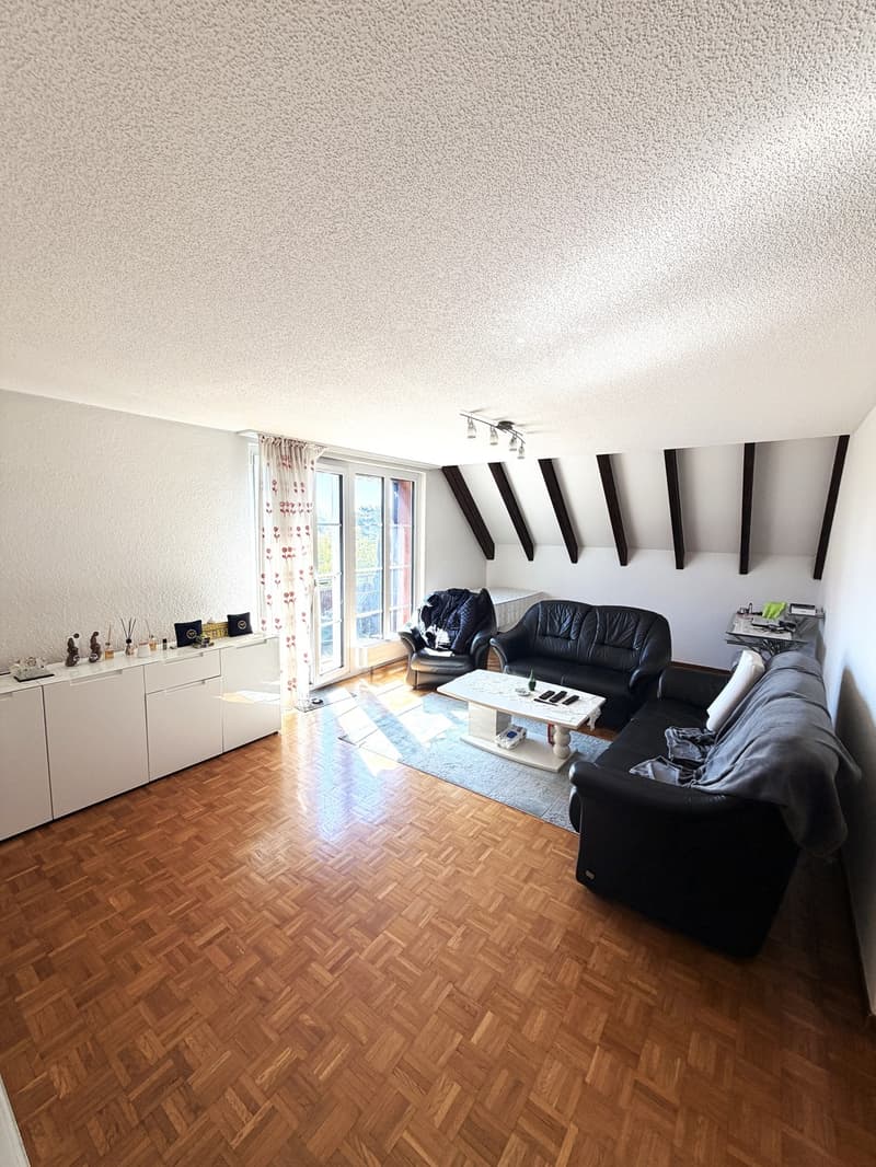 Charmant appartement 4.5 pièces au centre de Volketswil (4)