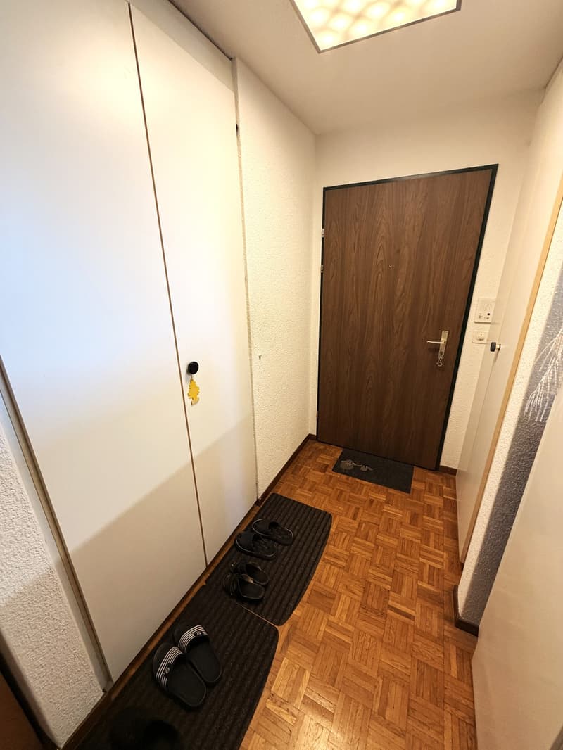 Charmant appartement 4.5 pièces au centre de Volketswil (12)