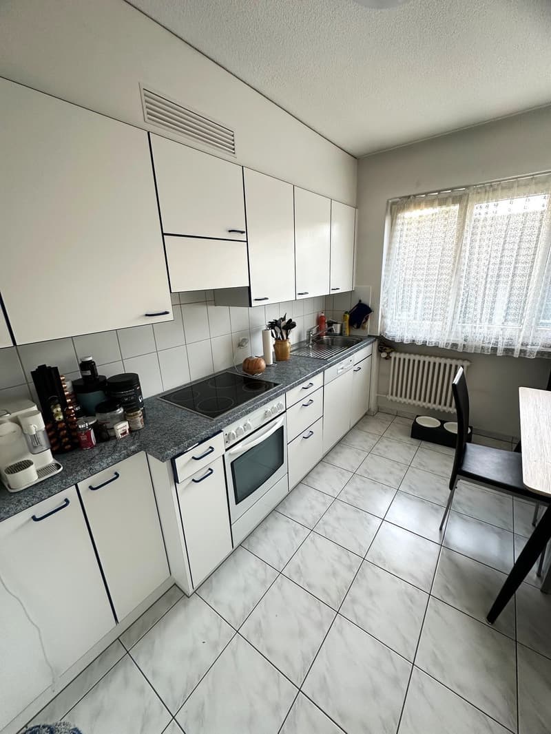 Charmante 3-Zimmer-Wohnung mit Balkon an zentraler Lage in Dietikon (3)