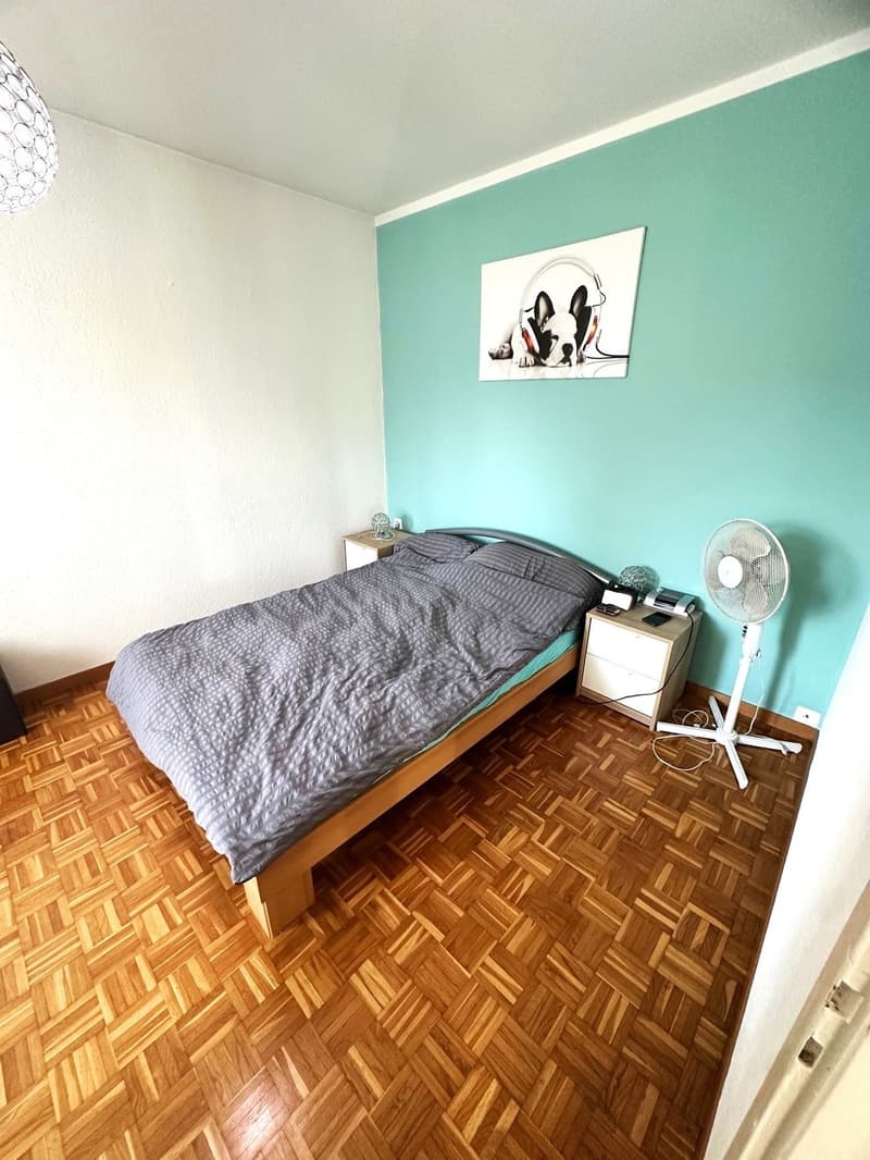Charmante 3-Zimmer-Wohnung mit Balkon an zentraler Lage in Dietikon (7)
