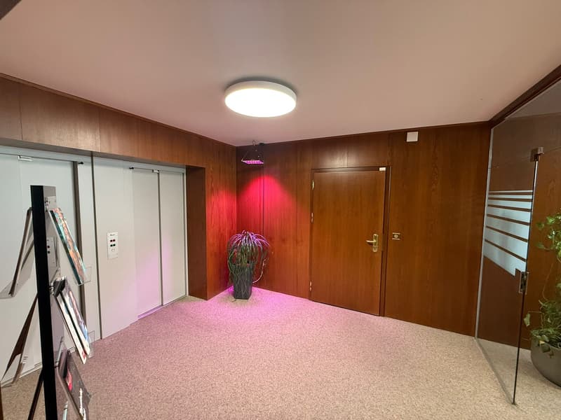 Empfang