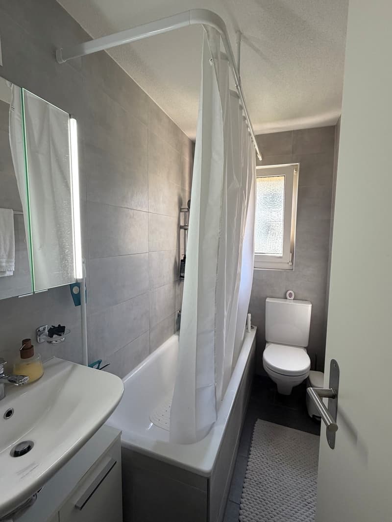 Your new home in Glattbrugg, comfortable and central (5)