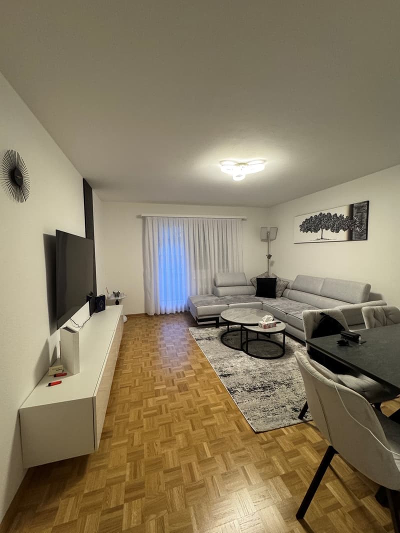 Your new home in Glattbrugg, comfortable and central (3)