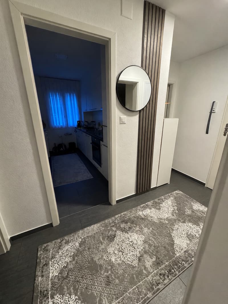 Your new home in Glattbrugg, comfortable and central (6)