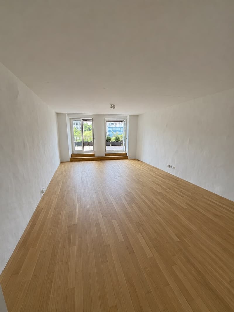 Frisch sanierte 1-Zimmerwohnung mit grosser Terrasse und Blick auf die Limmat (4)