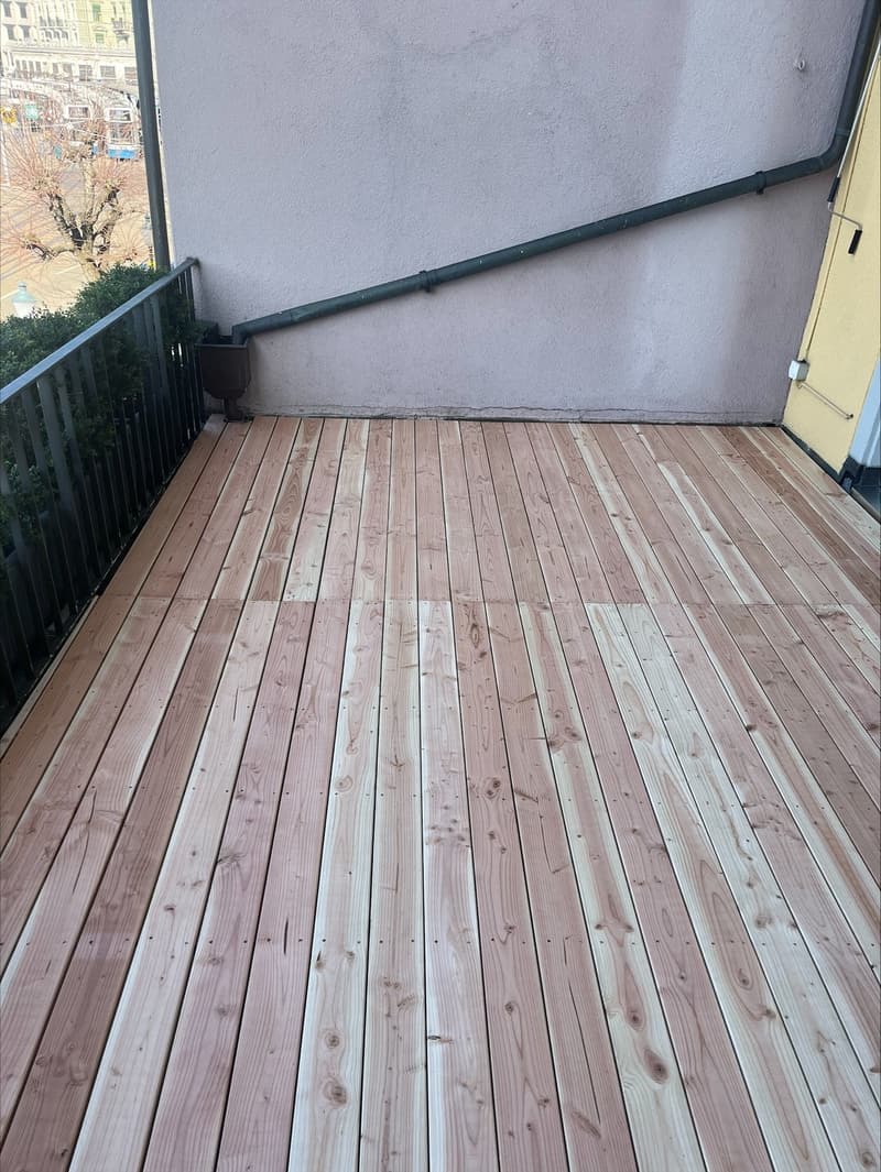 Frisch sanierte 1-Zimmerwohnung mit grosser Terrasse und Blick auf die Limmat (9)