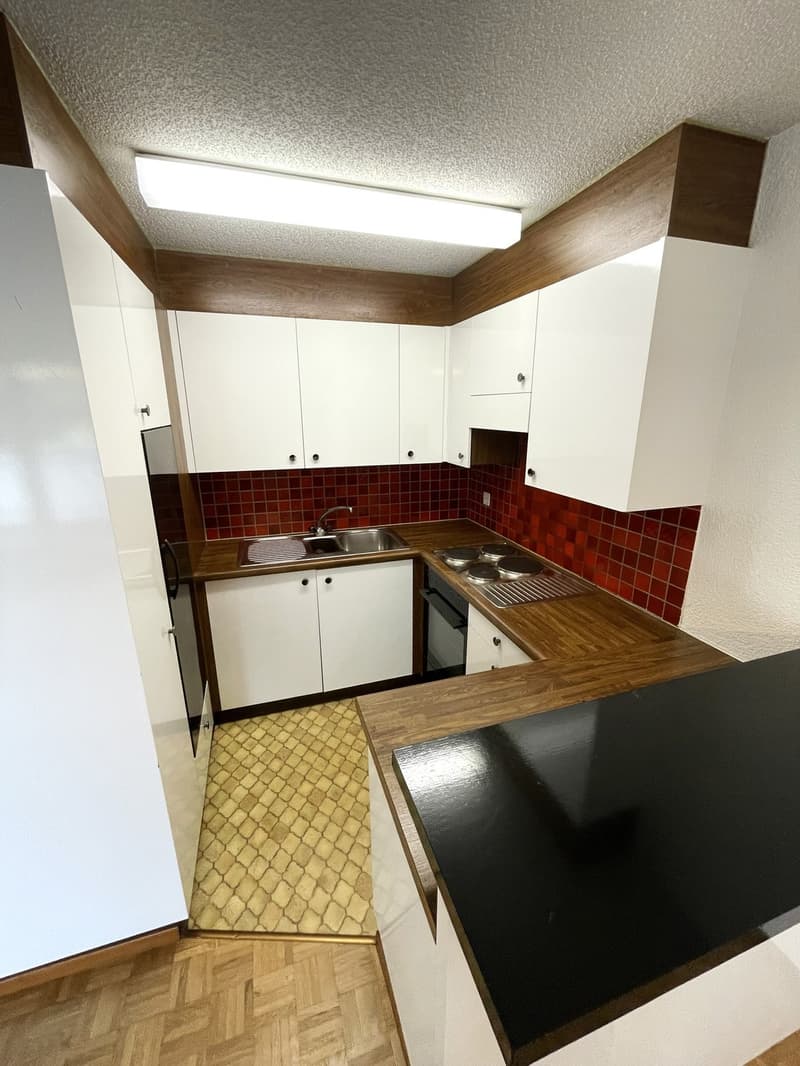 Bright 2-room apartment Volketswil (2)