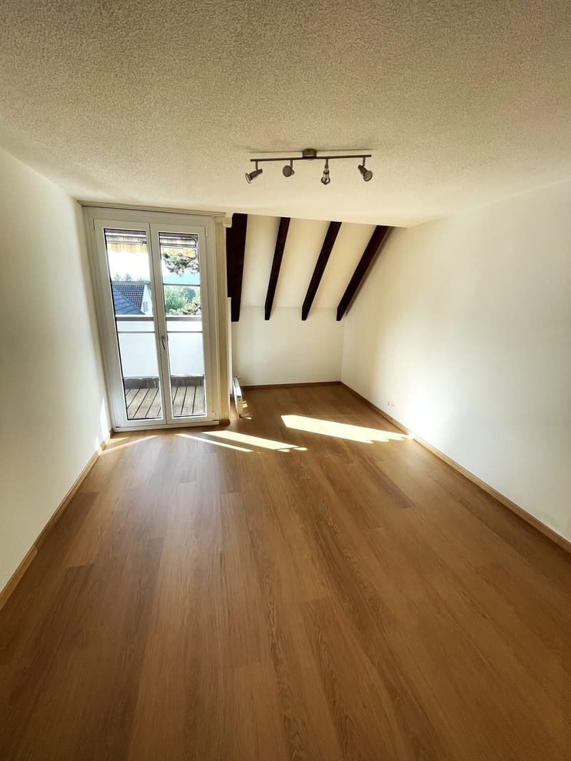 Bright 2-room apartment Volketswil (6)