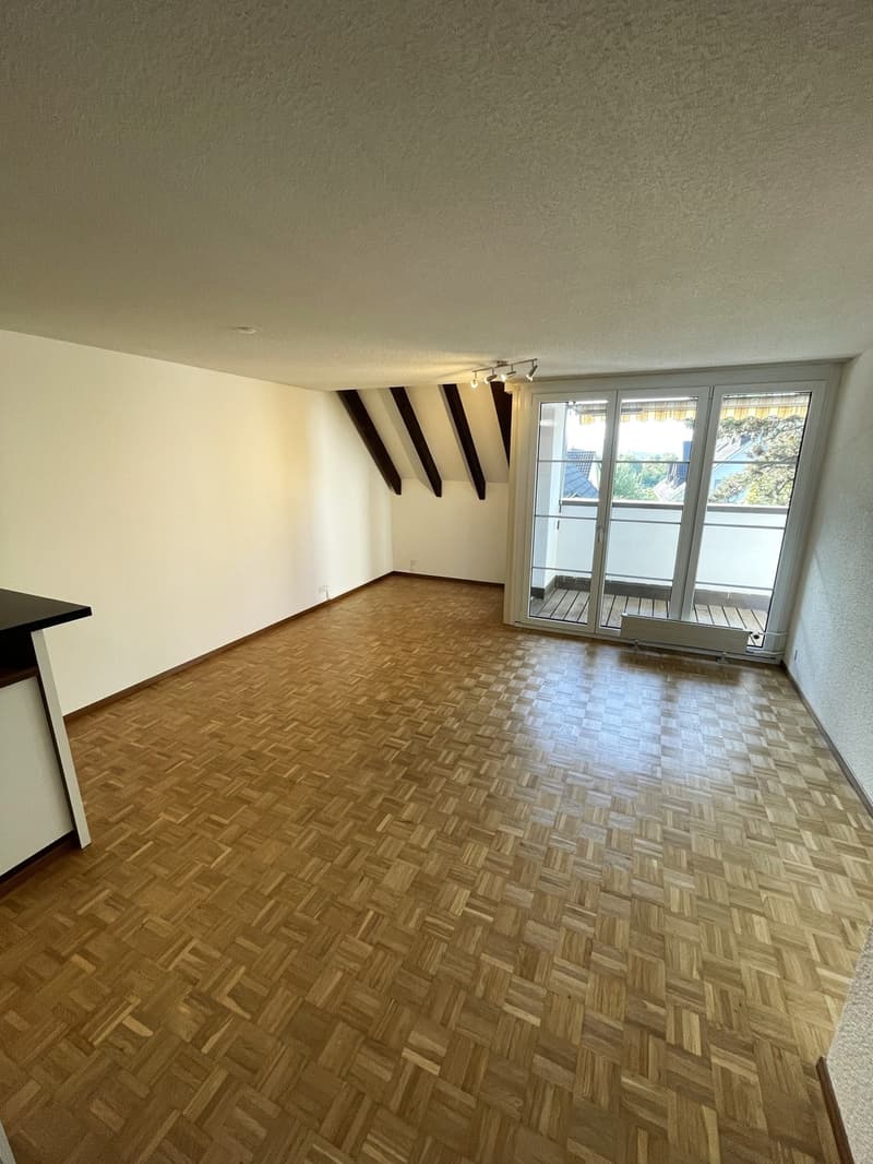 Bright 2-room apartment Volketswil (4)