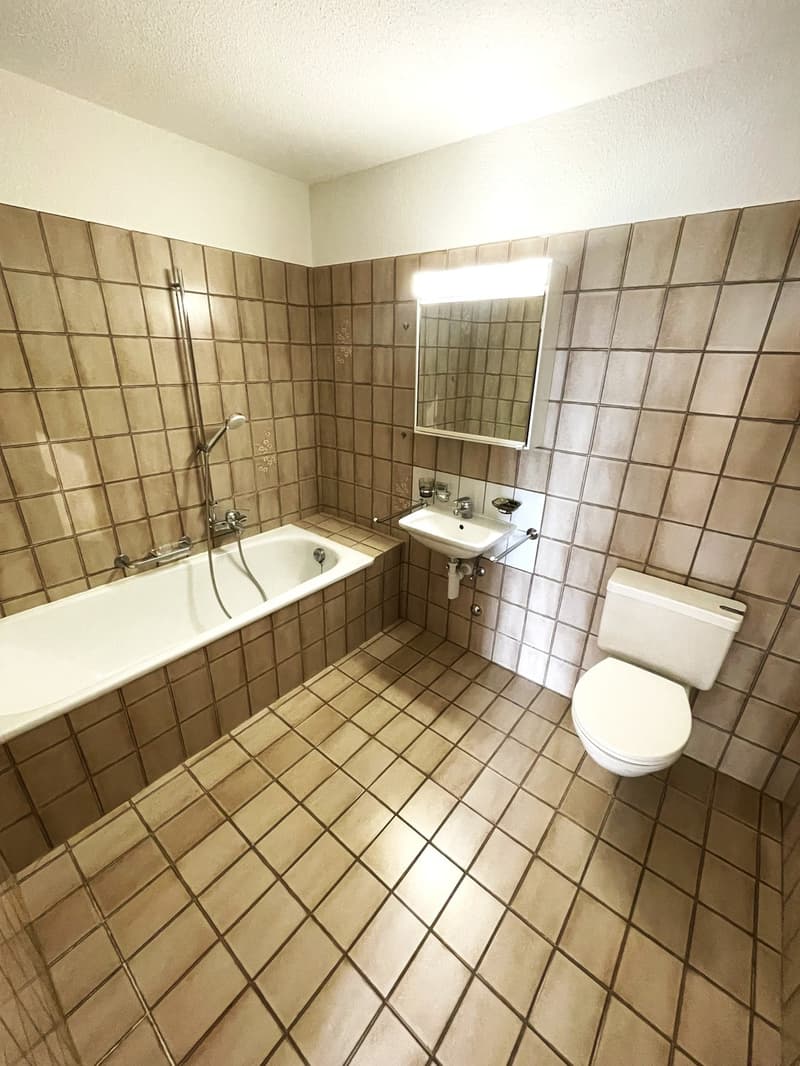 Bright 2-room apartment Volketswil (7)