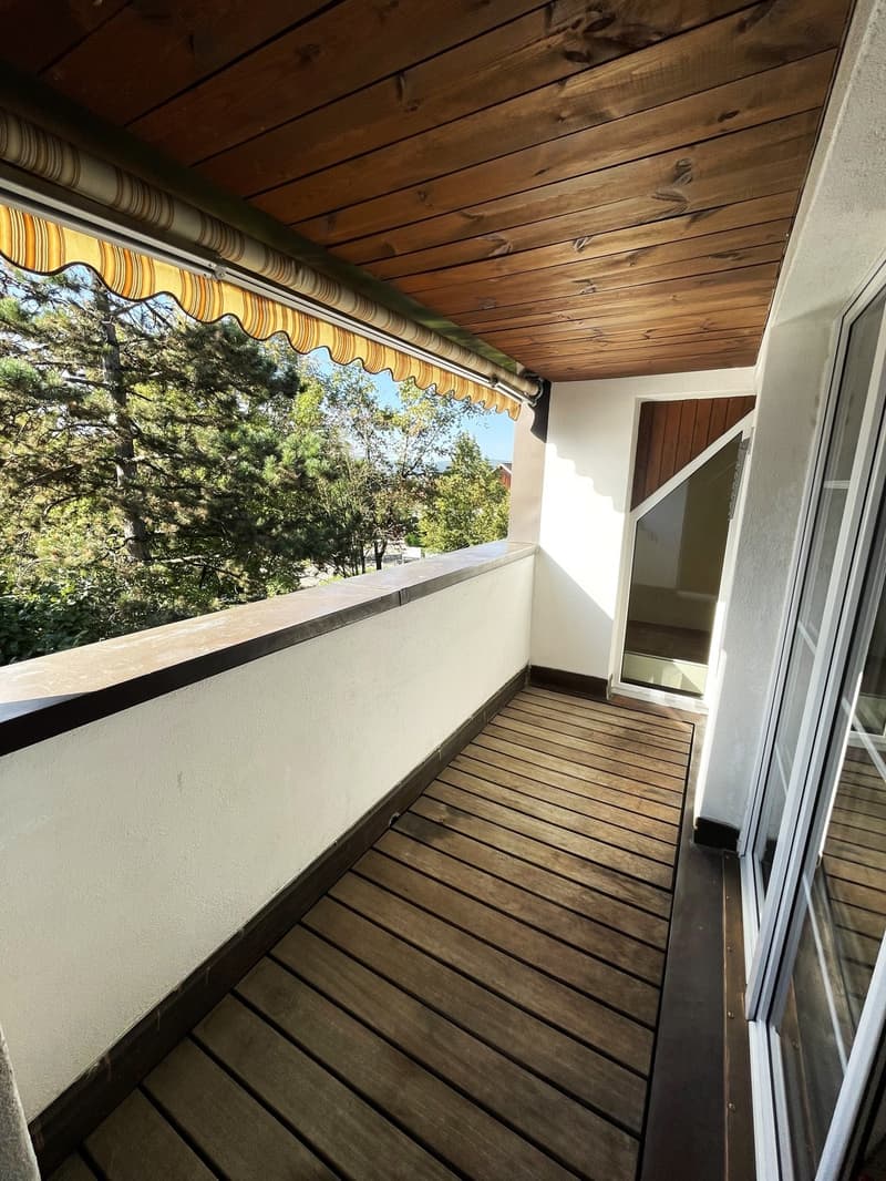 Bright 2-room apartment Volketswil (8)