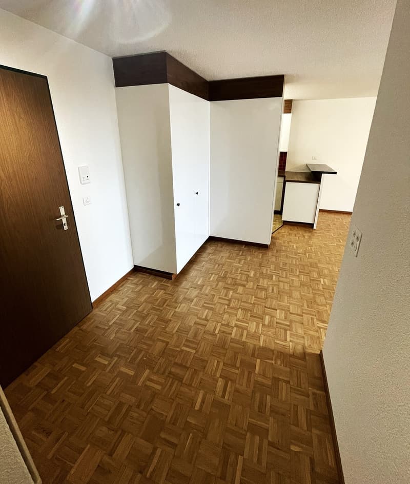Bright 2-room apartment Volketswil (5)