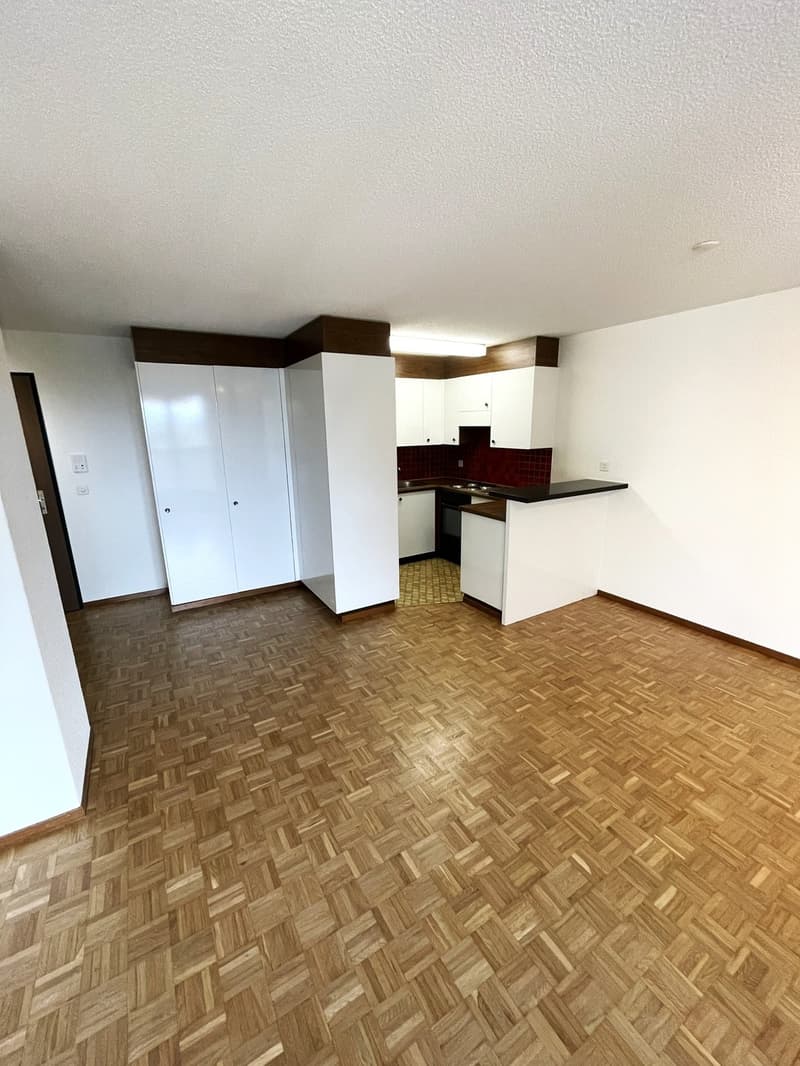 Bright 2-room apartment Volketswil (3)