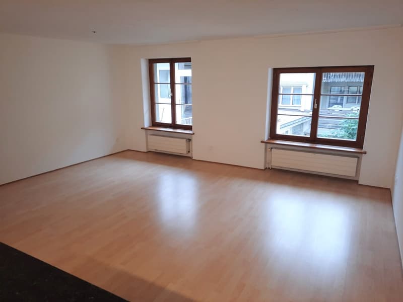 Charming 1-bedroom apartment in the Schaffhausen Old Town (3)