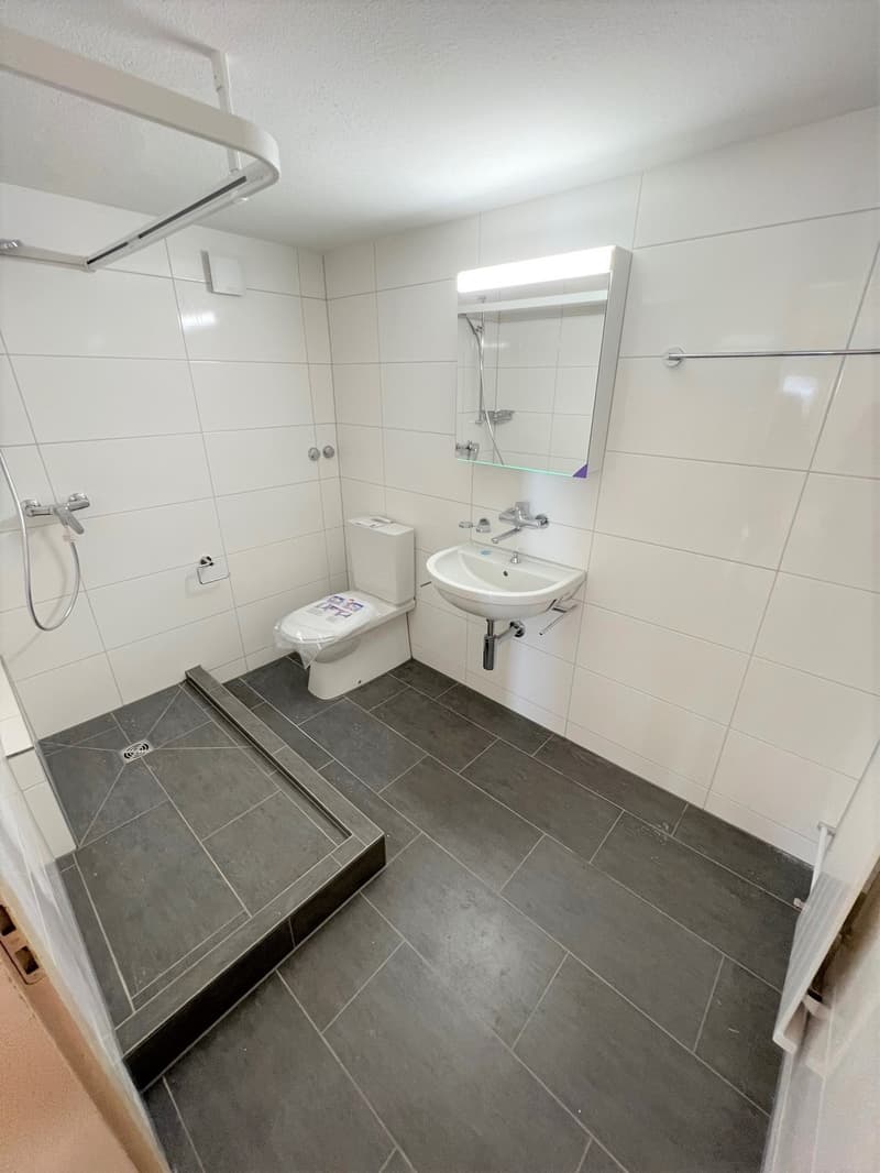 Charming 1-bedroom apartment in the Schaffhausen Old Town (4)