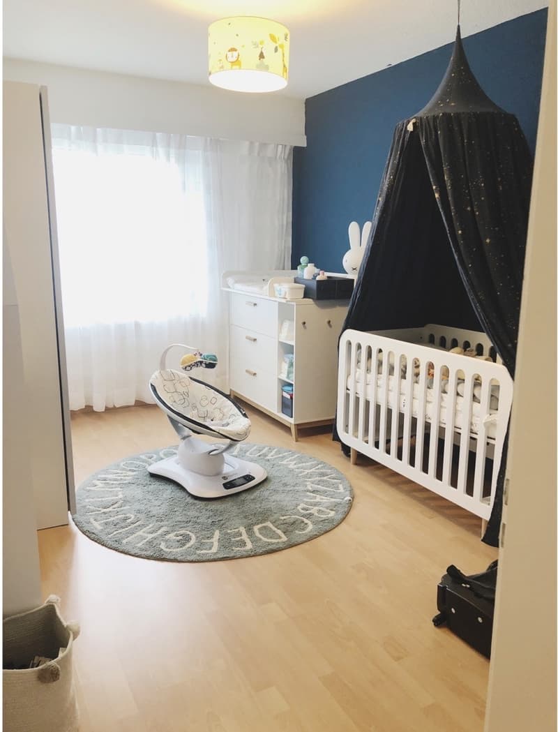 Appartement 4,5 pièces avec vue panoramique (8)