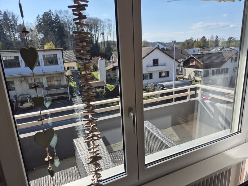 Appartement de 3 pièces lumineux avec balcon ensoleillé à louer (11)