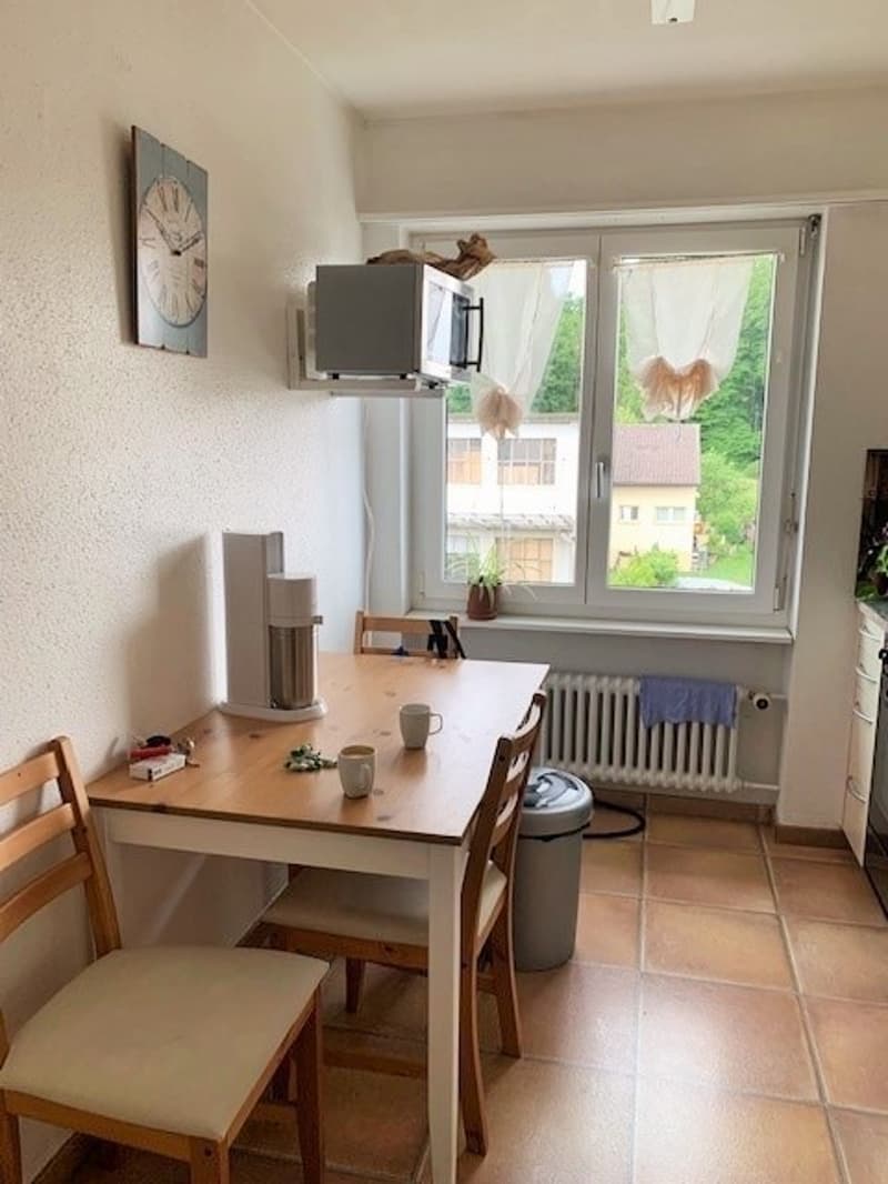 Appartement de 3 pièces lumineux avec balcon ensoleillé à louer (4)