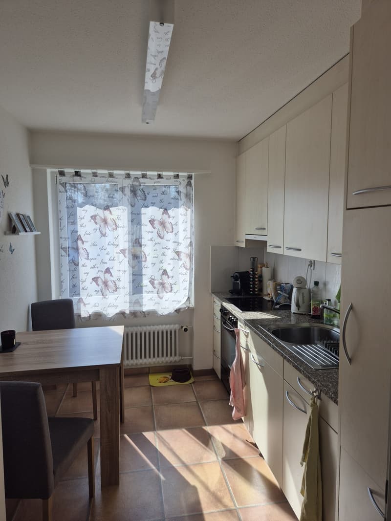 Appartement de 3 pièces lumineux avec balcon ensoleillé à louer (2)