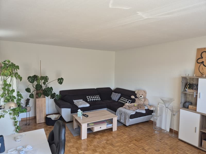 Appartement de 3 pièces lumineux avec balcon ensoleillé à louer (6)