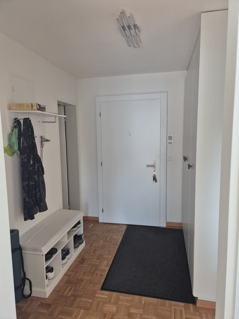 Appartement de 3 pièces lumineux avec balcon ensoleillé à louer (7)