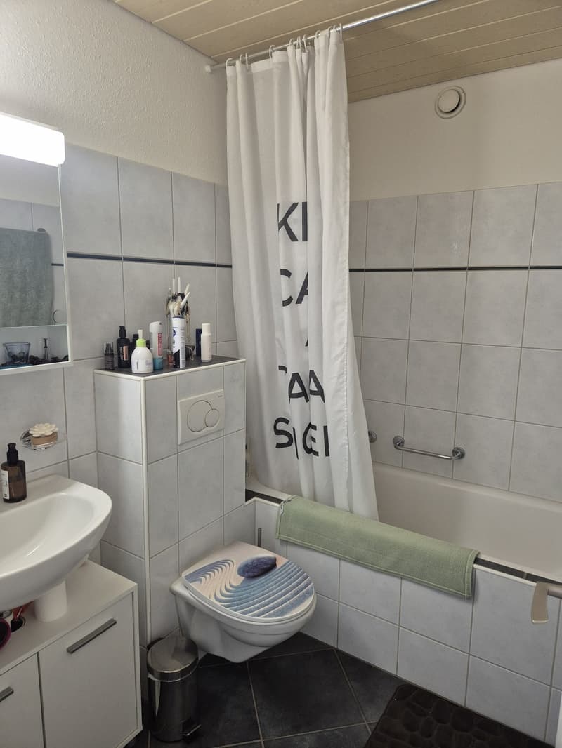 Appartement de 3 pièces lumineux avec balcon ensoleillé à louer (10)