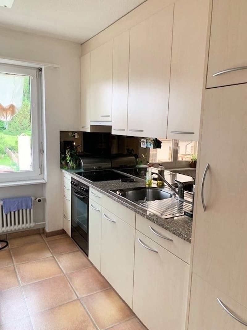 Appartement de 3 pièces lumineux avec balcon ensoleillé à louer (3)
