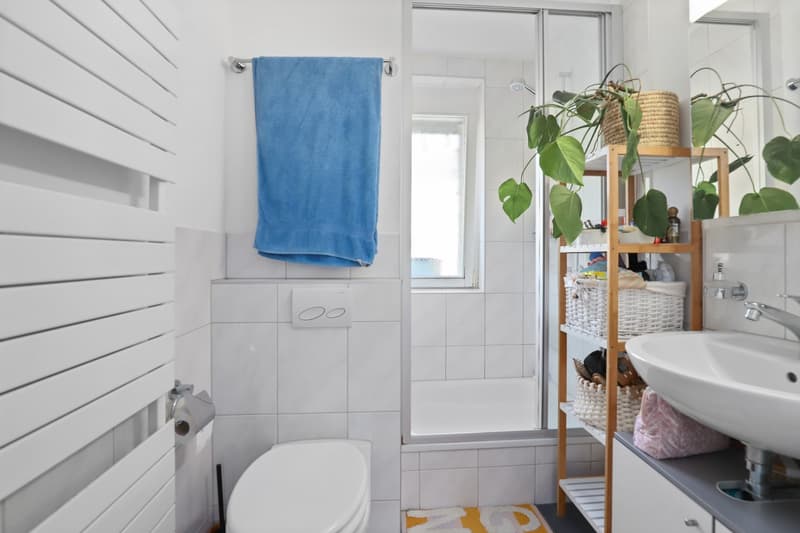 Nasszelle mit Dusche, WC und Lavabo