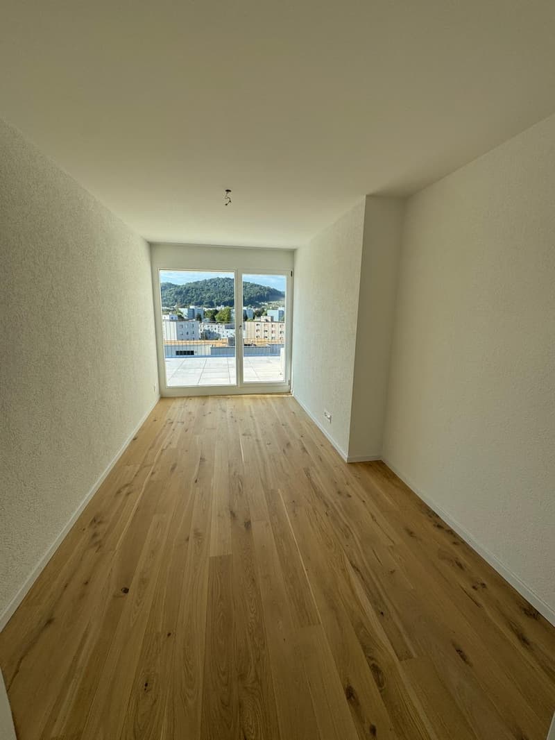 Exklusive Attikawohnung Wohnen mit Weitblick (12)