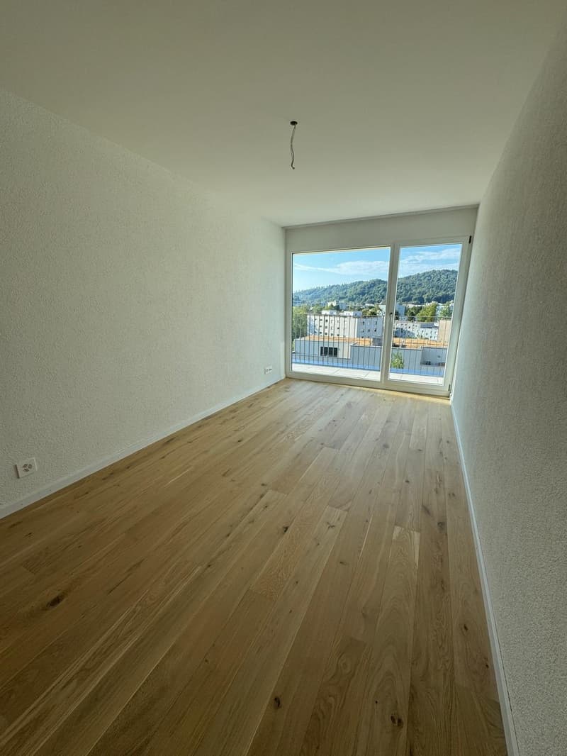 Exklusive Attikawohnung Wohnen mit Weitblick (7)