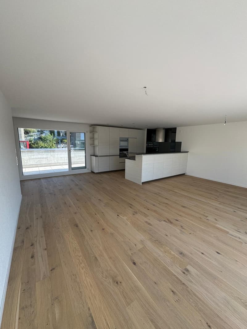 Exklusive Attikawohnung Wohnen mit Weitblick (4)