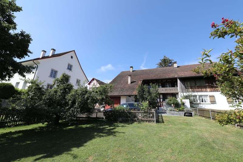Charmantes 4.5-Zimmer-Einfamilienhaus mit Garten, Teich und idyllischem Sitzplatz (1)