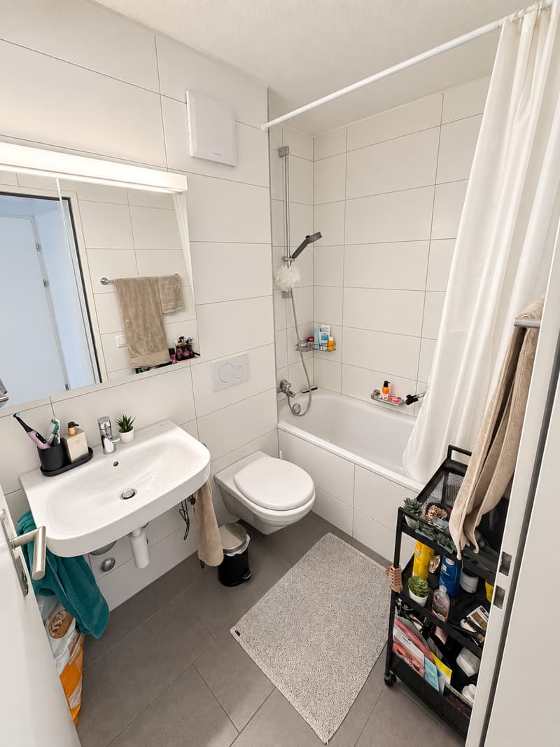 Attraktive Wohnung in Zürich-Altstetten mit idealer Verkehrsanbindung (5)