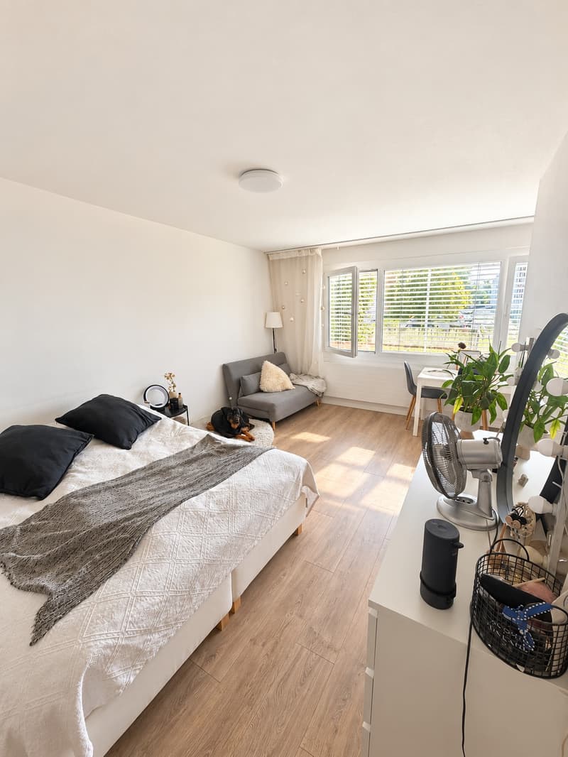 Attraktive Wohnung in Zürich-Altstetten mit idealer Verkehrsanbindung (4)