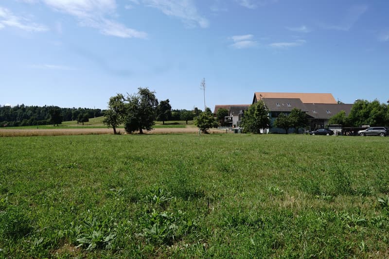 Von Norden Richtung Süden