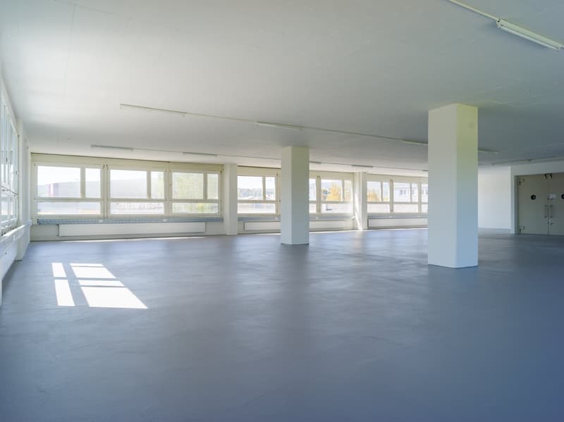 Gewerbe mit Aussicht in Unterengstringen (1)