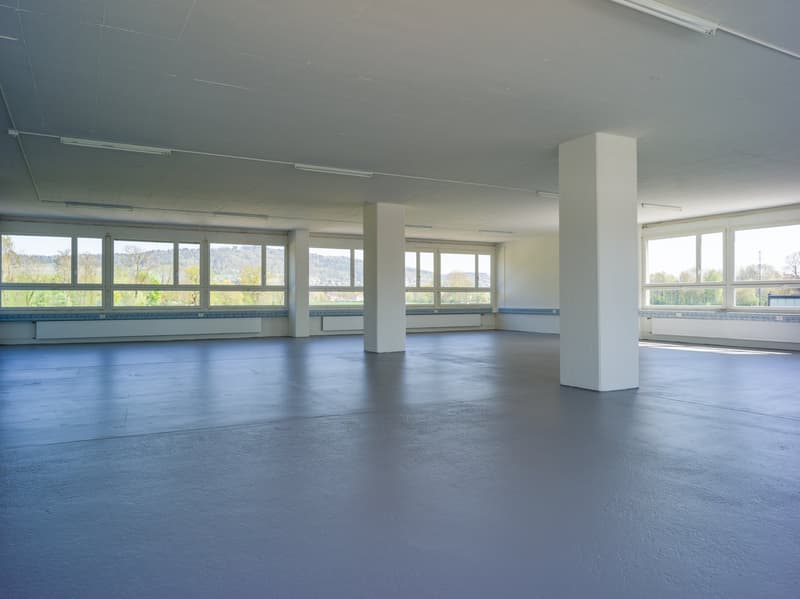 Gewerbe mit Aussicht in Unterengstringen (2)
